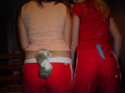 tails.jpg